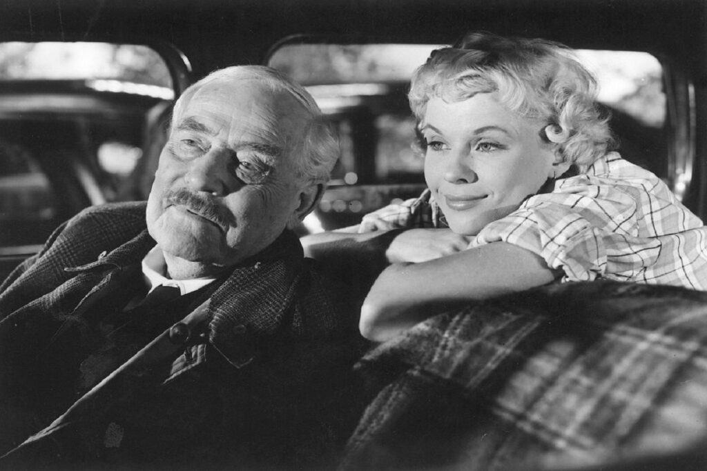 Wild Strawberries